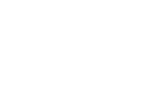 We The Best Handyman
